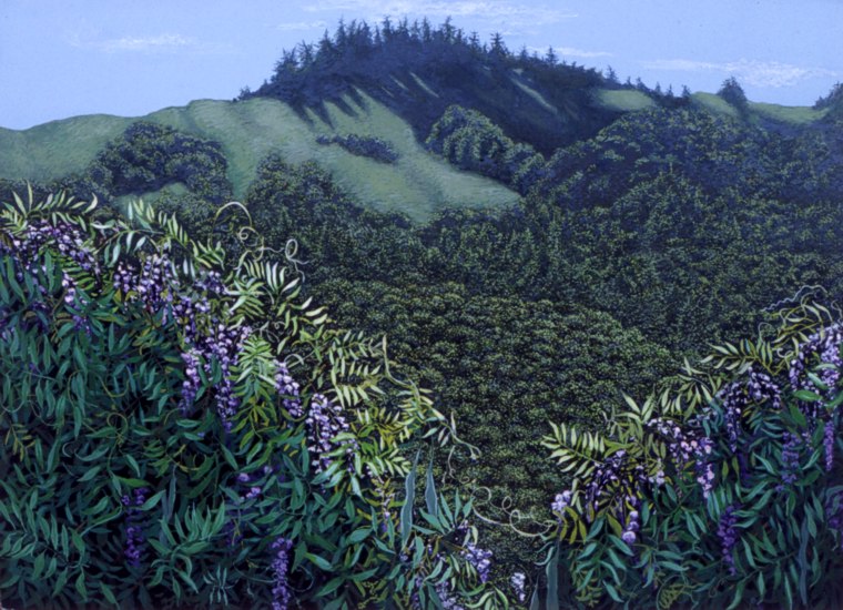 Debbie's Hills -- artwork © Shelley Martin