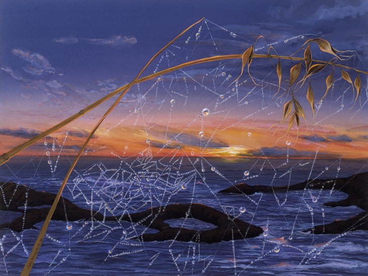 Sunset and Web -- artwork © Shelley Martin