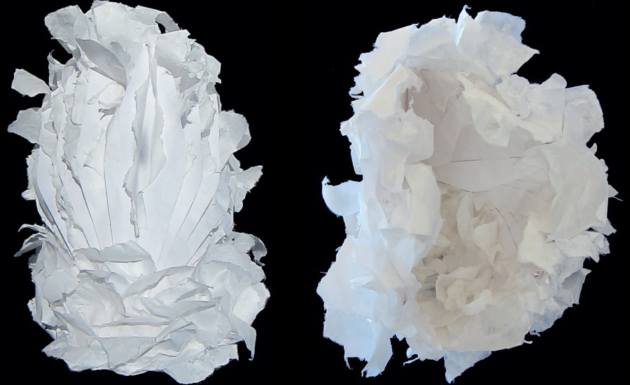 Enveloped -- photo by Sienna M Potts -- artwork © Shelley Martin