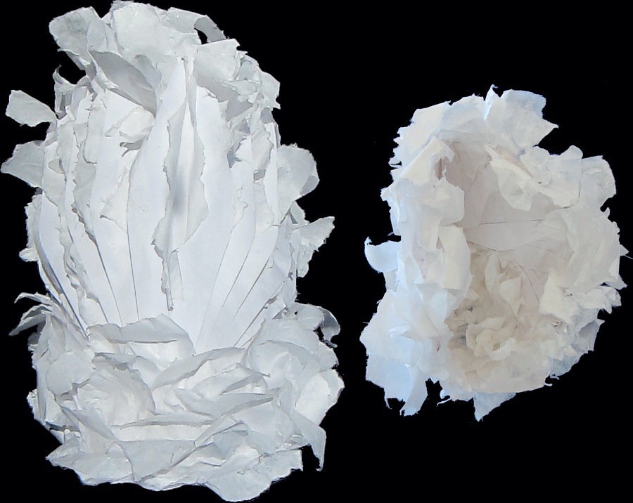 Enveloped -- photo by Sienna M Potts -- artwork © Shelley Martin