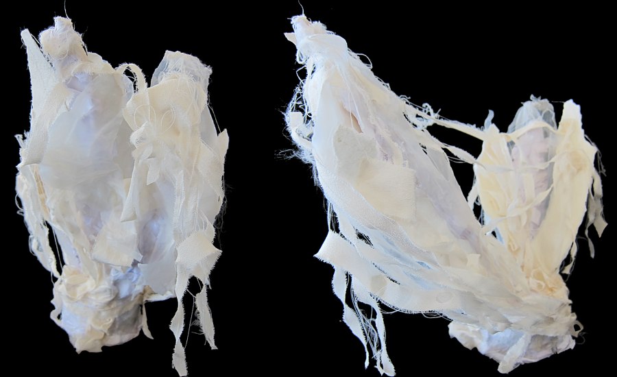 Fragment -- photo by Sienna M Potts -- artwork © Shelley Martin