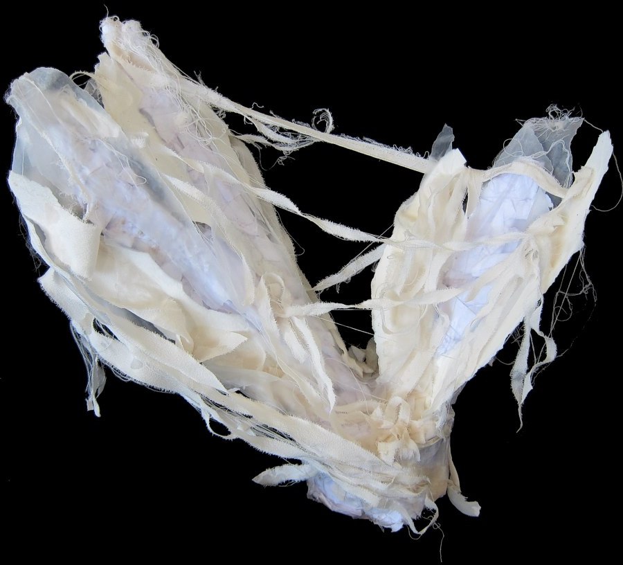 Fragment -- photo by Sienna M Potts -- artwork © Shelley Martin